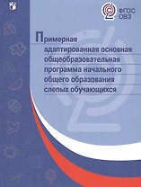 Примерная адаптированная основная общеобразовательная программа начального общего образования слепых обучающихся