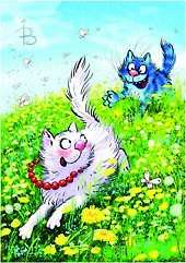 Открытка одинарная Догони 1 Зенюк Р. 11*16см 01128