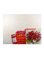 Роспись холста по номерам Яркий аромат (31138) (40х50) (краски/24цв.+3 кисточки+крепеж. петли+схема) (Креатто) (7+) (упаковка)