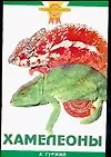 Зол.сов.Хамелеоны