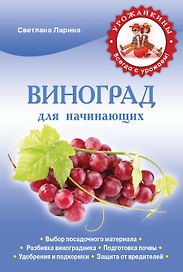 Виноград для начинающих