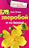 Зверобой от ста болезней - 0