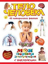 Тело человека