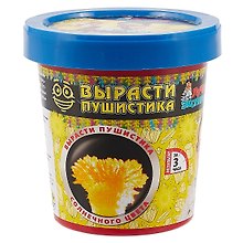 Набор для экспериментов «Вырасти солнечного пушистика», Qiddycome