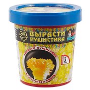 Набор для опытов, Серия Лучшие эксперименты Вырасти солнечного пушистика 120гр.
