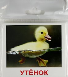 Домашние животные и детёныши. Комплект мини-карточек