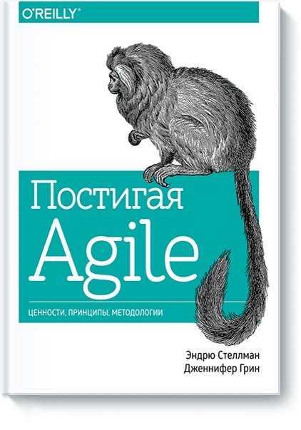 

Постигая Agile. Ценности, принципы, методологии