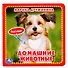 Домашние животные - 0