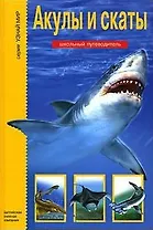 Акулы и скаты: Школьный путеводитель