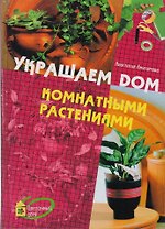 Украшаем дом комнатными растениями