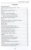 Таинственное эхо мира. Стихи - 2