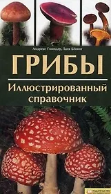 Грибы. Иллюстрированный справочник