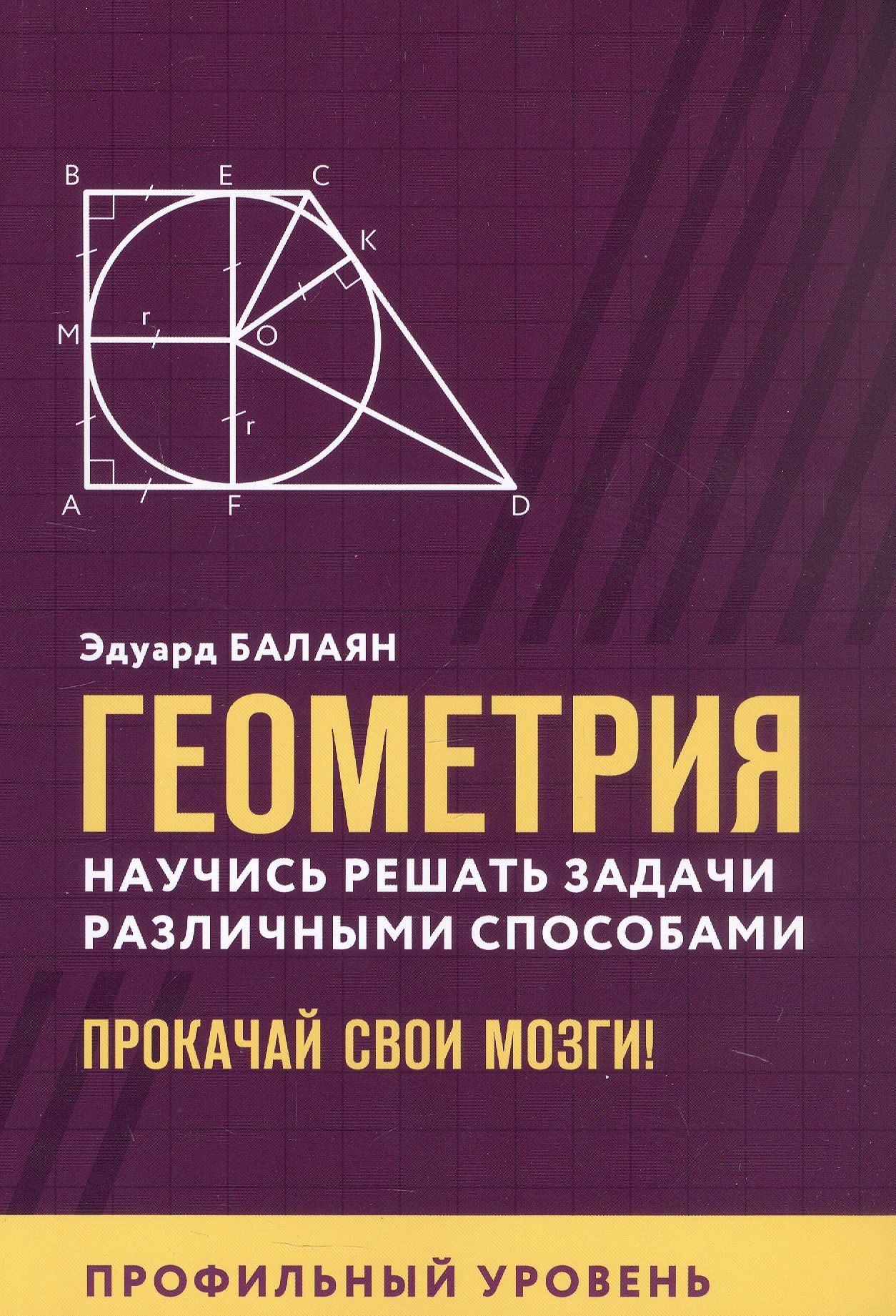 

Геометрия. Научись решать задачи различными способами. Прокачай свои мозги! Профильный уровень