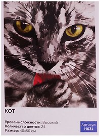 Картина по номерам 40*50см., 24цвета, Кот (H031), Art Idea