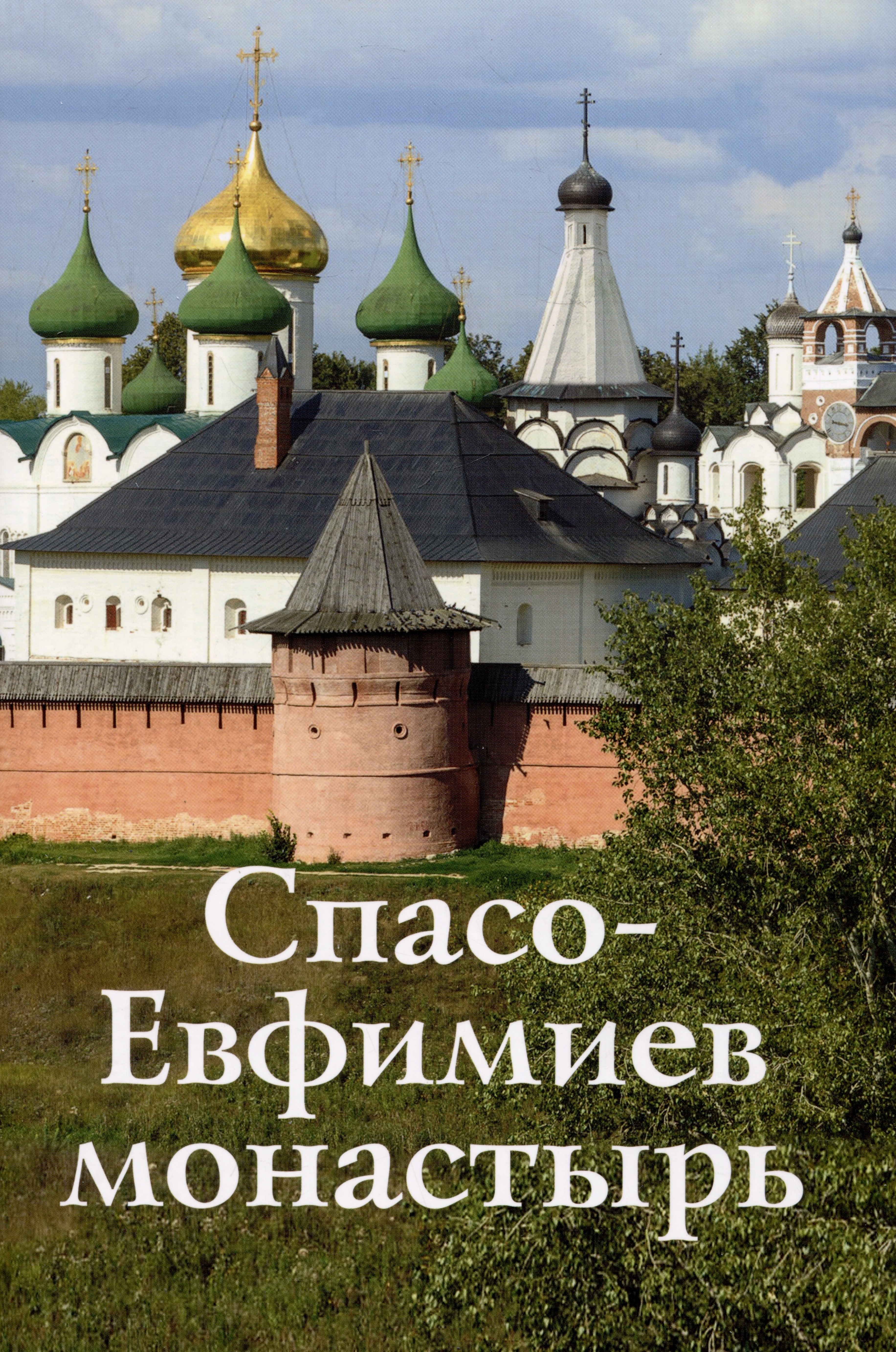 

Спасо-Евфимиев монастырь. Путеводитель