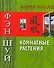 Фэн шуй: Комнатные растения - 0