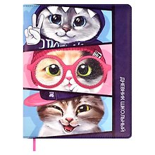 Дневник школьный «Коты», Феникс+