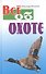 Все об охоте / 3-е изд., стер. - 0