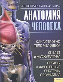 Анатомия человека. Иллюстрированный атлас