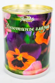 Цветок в банке "Анютины глазки" (410428)