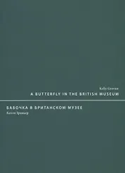 A butterfly in the British museum / Бабочка в Британском музее