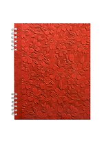 Тетрадь в клетку Idea, Red, 96 листов, в ассортименте