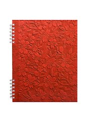 Тетрадь в клетку Idea, Red, 96 листов, в ассортименте