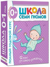 Полный годовой курс. Для занятий с детьми от рождения до 1 года (комплект из 12 книг)