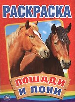 Лошади и пони. (Первая раскраска).