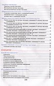Информатика. Наглядный школьный курс - 2