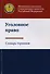 Уголовное право. Словарь терминов - 0