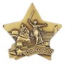 Магнит звезда  Волгоград Родина-мать-Стоять насмерть (металл цв.бронза) (027-3BR-80-2)