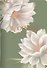Тетрадь общая «Blossom. Лотос», 48 листов в клетку, А5 - Be Smart - 0