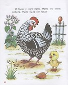 Цыплёнок. Так и не так - 2