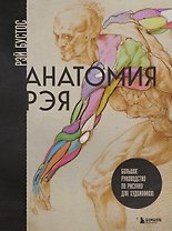 Анатомия Рэя. Большое руководство по рисунку для художников