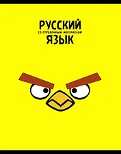 Тетрадь 48л лин. ТЕМА "ANGRY BIRDS" Русский язык выб.лак, справ.мат-лы, Hatber