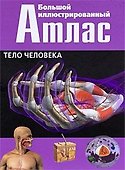 Большой иллюстрированный атлас : Тело человека - 0