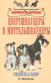 Цвергшнауцеры и миттельшнауцеры. Смелость и задор.