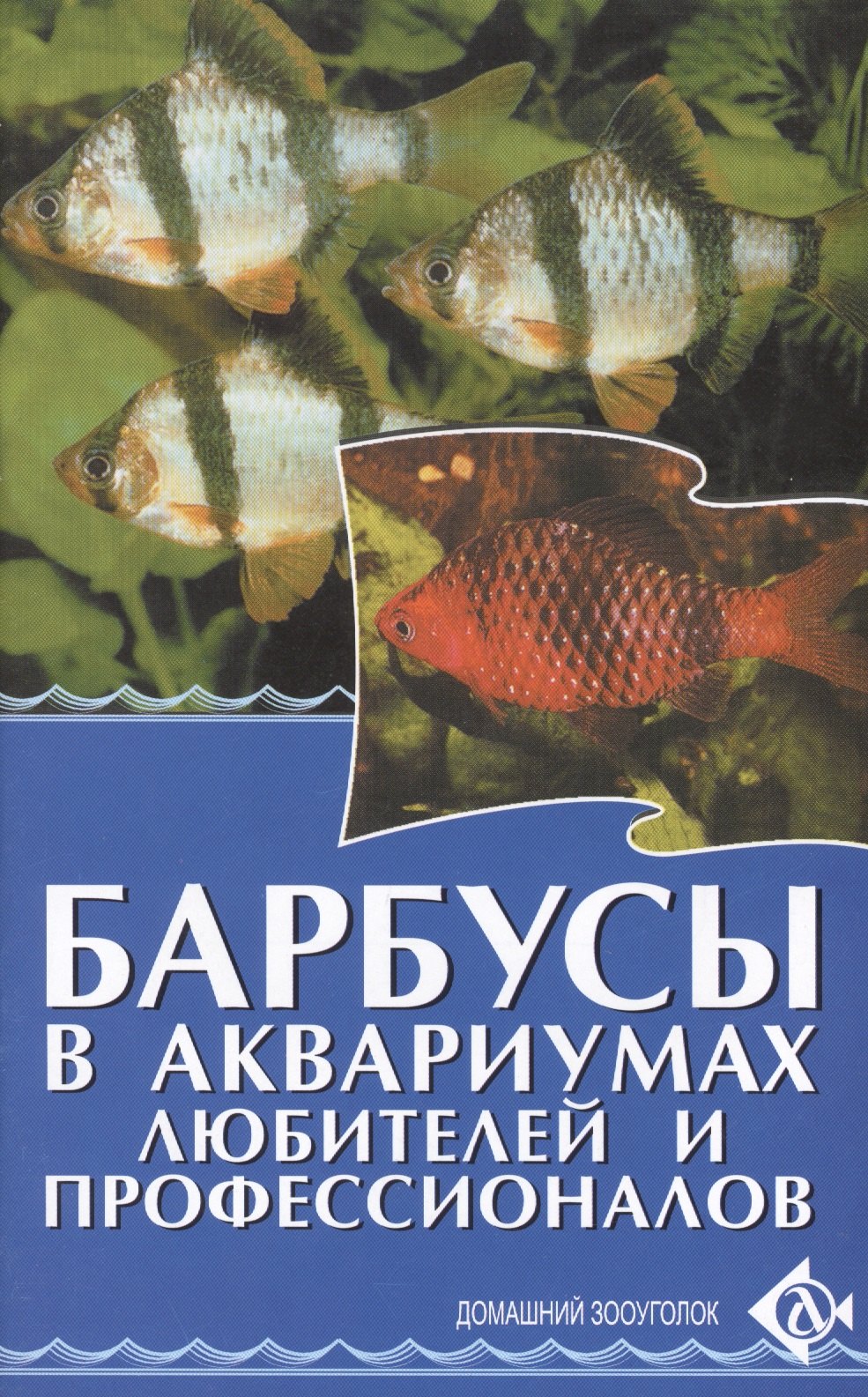 

Барбусы в аквариумах любителей и профессионалов