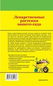 Лекарственные растения вашего сада - 1