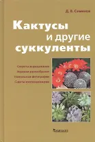 Кактусы и другие суккуленты.