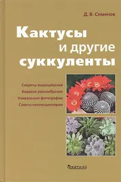 Кактусы и другие суккуленты.