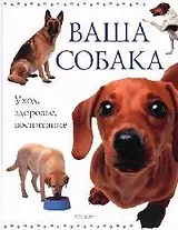 Ваша собака. Уход, здоровье, воспитание