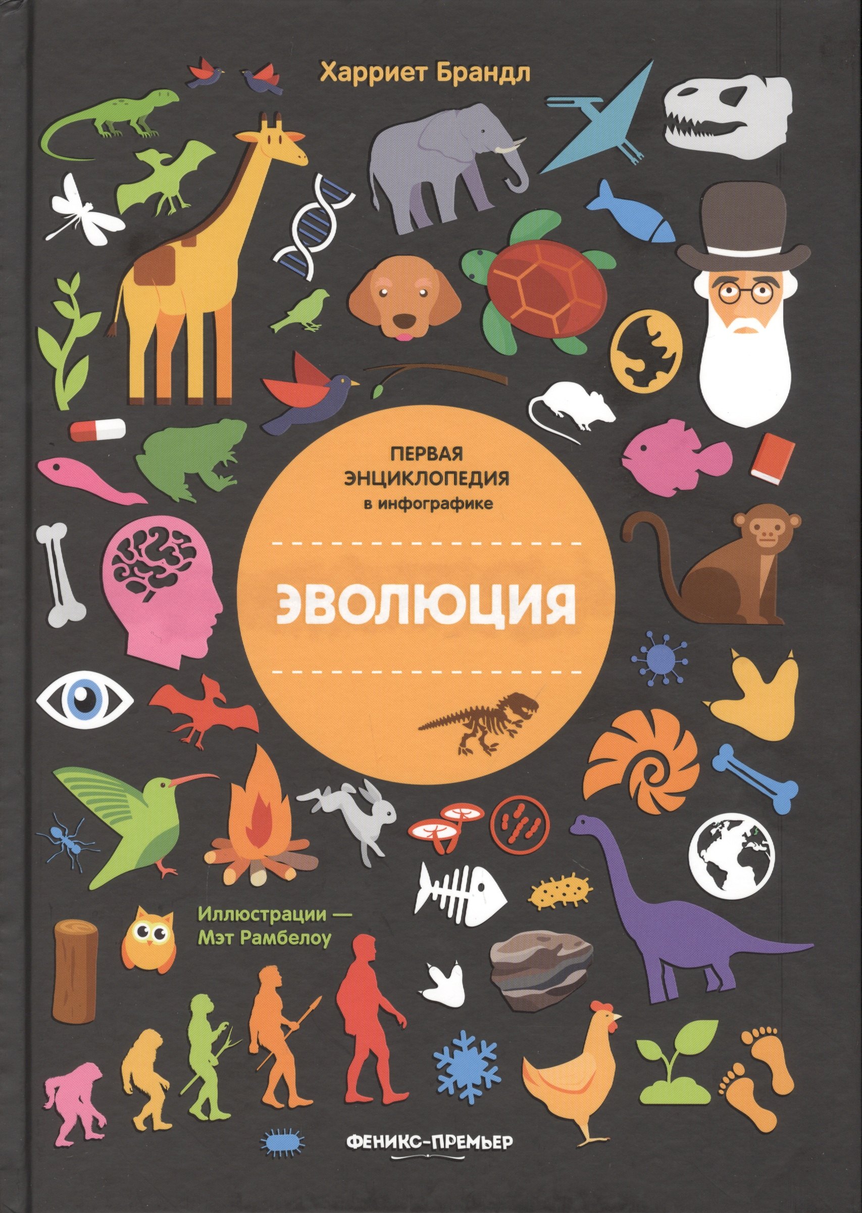 

Эволюция. Инфографика