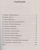 ЕГЭ. Литература. 11-й класс. Тематический тренинг от "текста к смыслу". Учебное пособие - 1