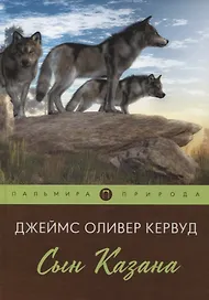 Сын Казана: повесть