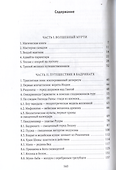 Тайна черного мурти, или У истоков адвайты - 2