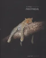 След кошки.Леопард