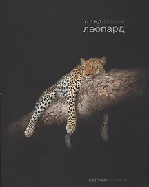 След кошки.Леопард