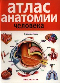 Атлас анатомии человека . 2-е издание дополненное и переработанное